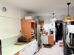 Blk 9 Farrer Park Gardens (Kallang/Whampoa), HDB 4 Rooms #616981441